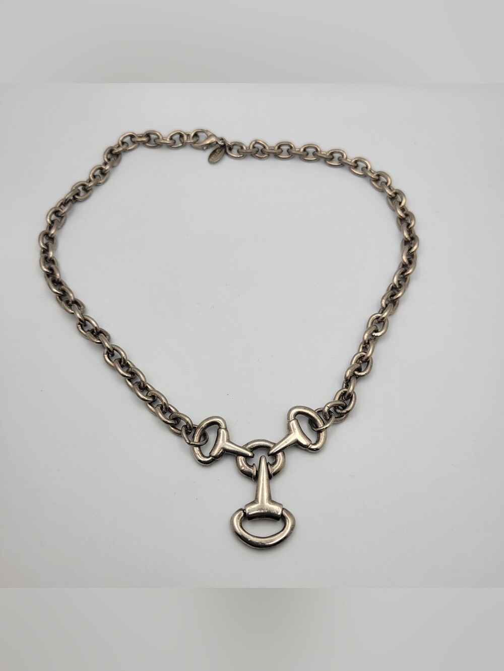 Express Silver-Tone Equestrian Link Necklace